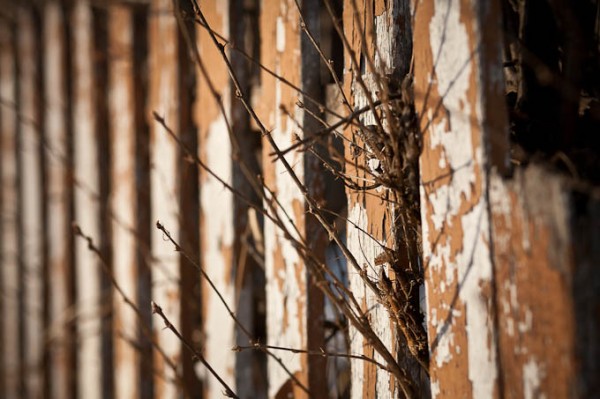 teaching-eg-018 teaching eg 023