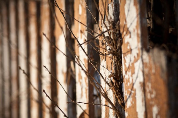 teaching-eg-018 teaching eg 024