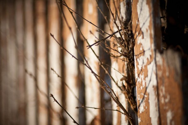 teaching-eg-018 teaching eg 025