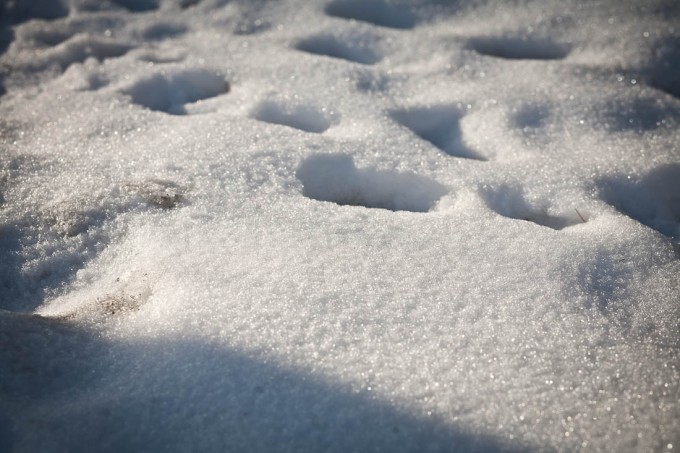 teaching-eg-026-blog1100 teaching eg 026 blog1100