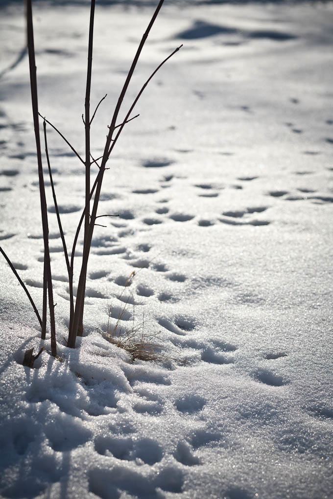 teaching-eg-028 teaching eg 028