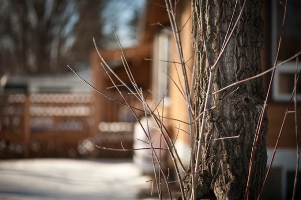 teaching-eg-029 teaching eg 029