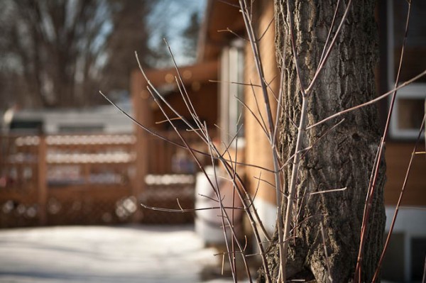 teaching-eg-029 teaching eg 030