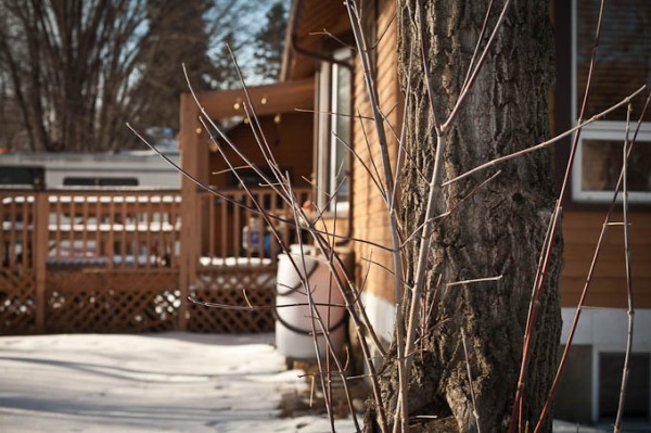 teaching-eg-029 teaching eg 033