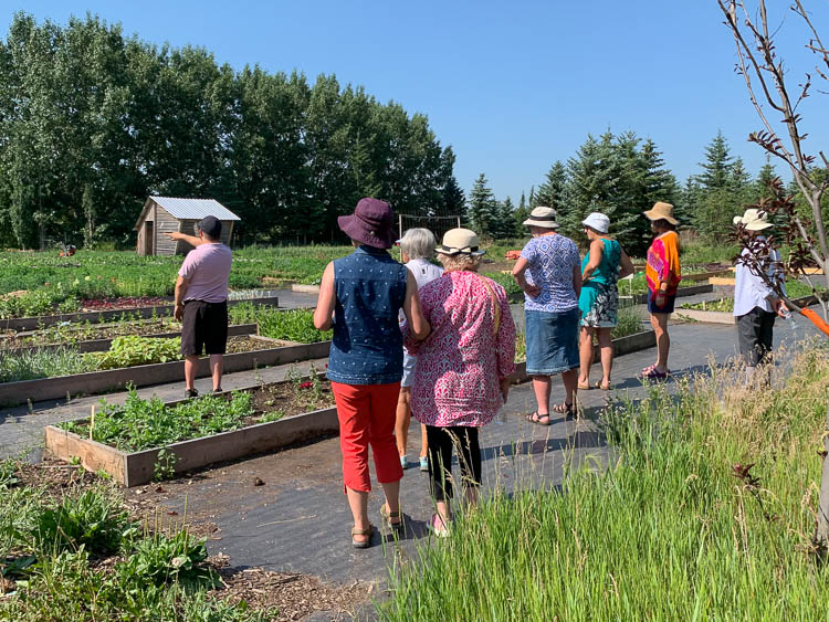 themed photoshoot 13