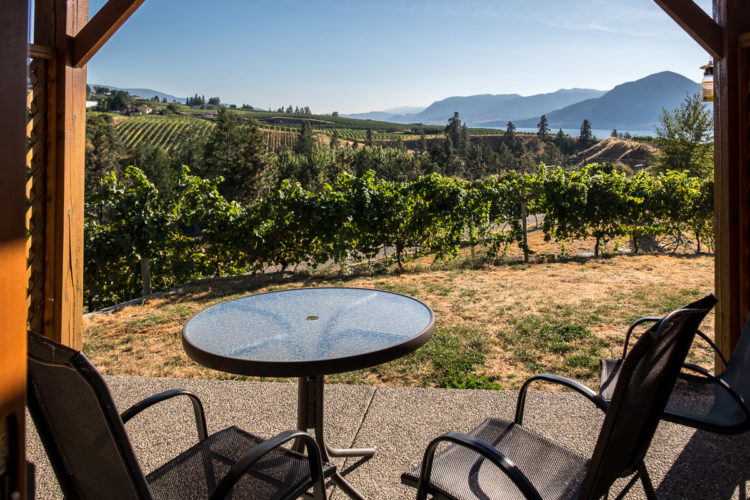vineyard patio seating