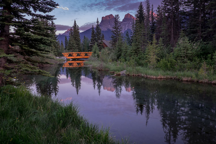 which-camera-750px-02