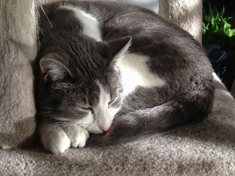 which-camera-750px-10