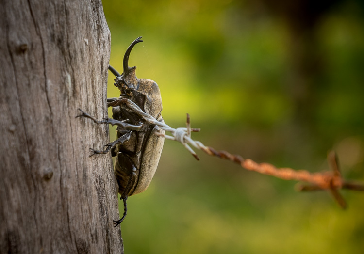 which-camera-750px-13