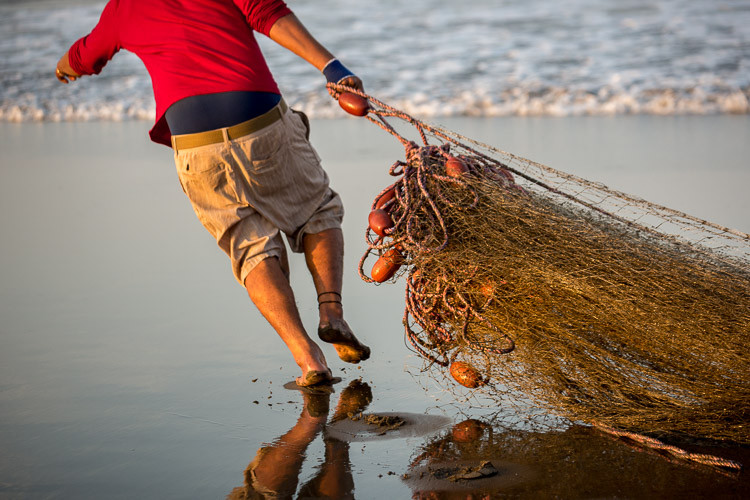 which-camera-750px-18