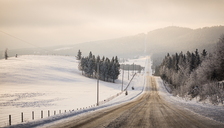 white balance examples 05