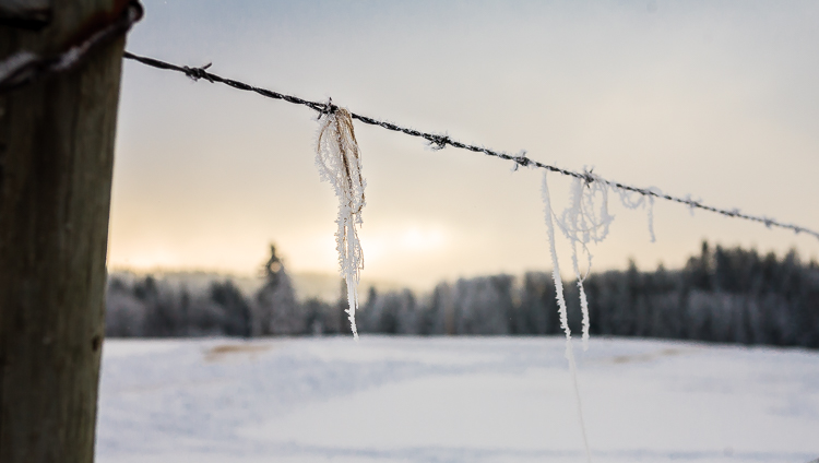 white balance examples 07