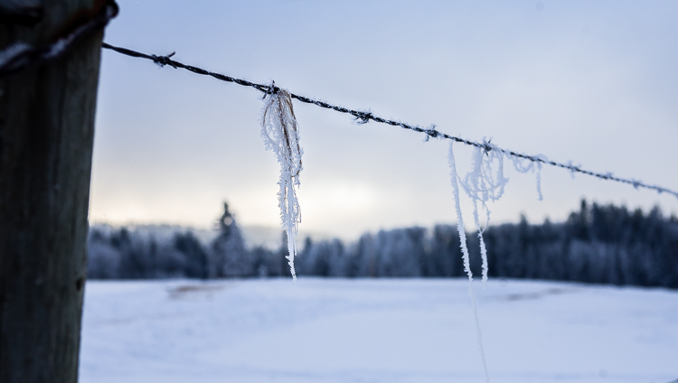 white balance examples 08