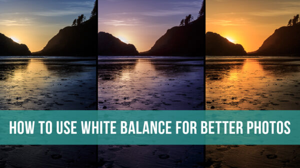 how to use camera white balance to improve your photos