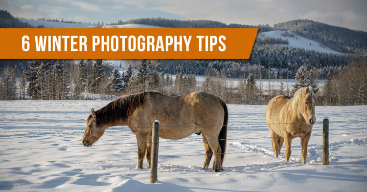 winter photography tips