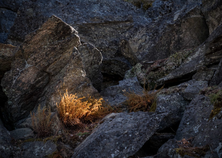 workshop contrast exercise example