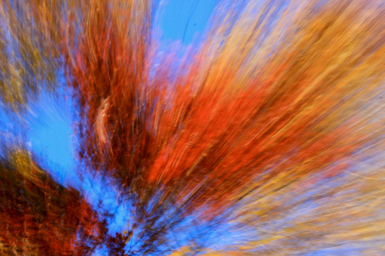 How to do a Zoom Burst Special Effect with Your Camera