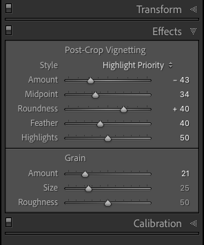 Lightroom adjustments panel showing how to add grain effect in post processing