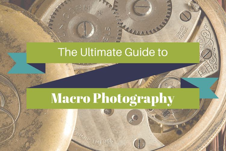 The Ultimate Guide to