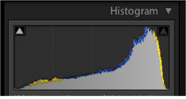camera histogram showing white