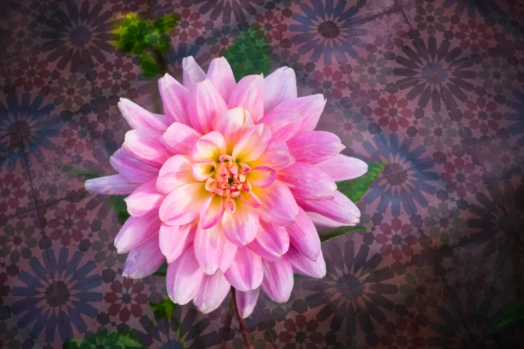 DPM LR course 0026 after 04