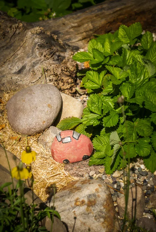 garden photography tips 02 750px jpg