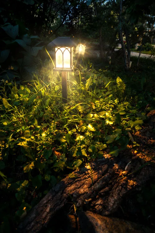 garden photography tips 40 750px jpg