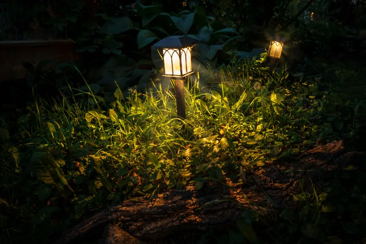 garden photography tips 42 750px jpg