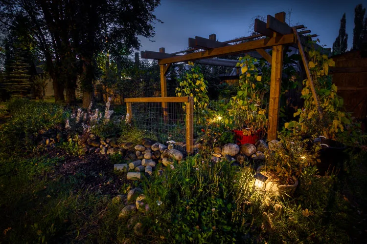 garden photography tips 45 750px jpg