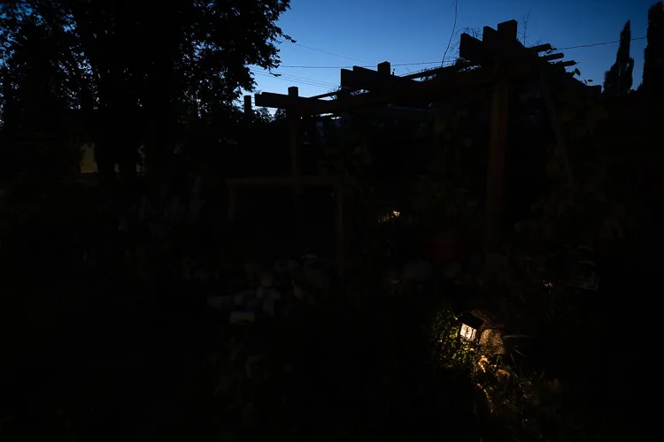 garden photography tips 47 750px jpg