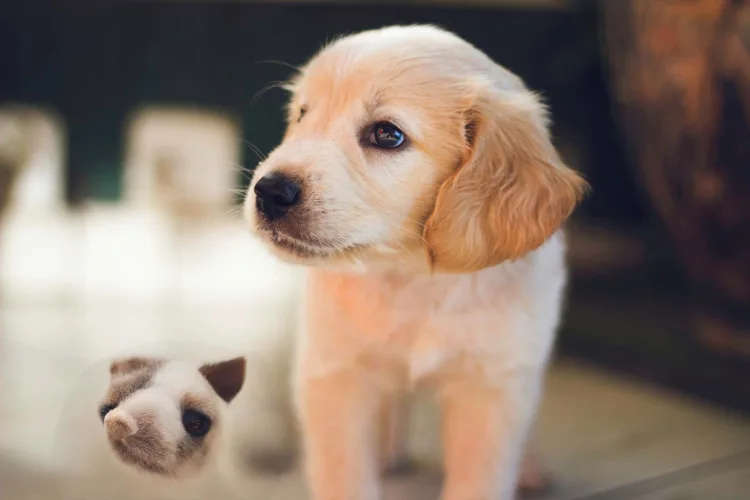 Luminar Neo GenExpand berkay gumustekin ngqyo2AYYnE unsplash 1