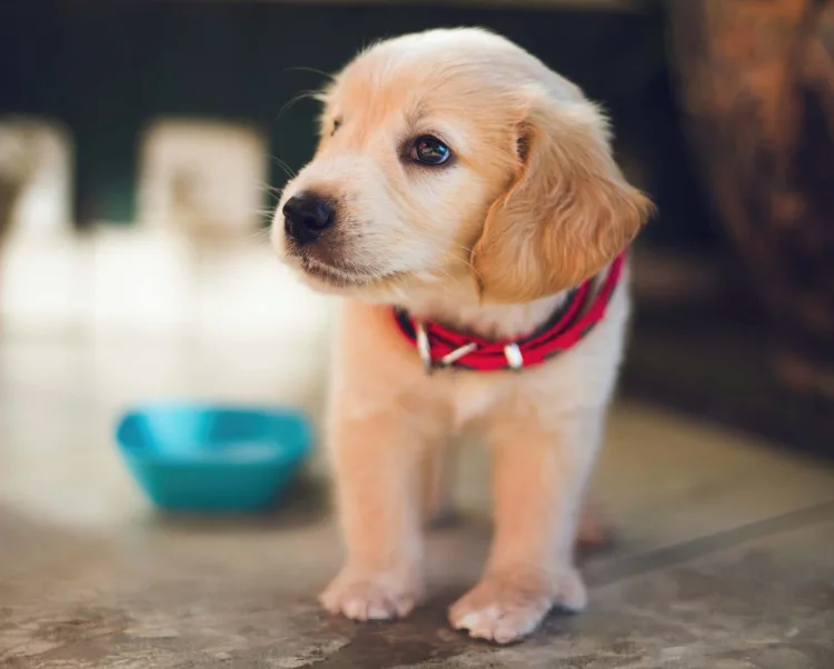 Luminar Neo GenExpand berkay gumustekin ngqyo2AYYnE unsplash 2