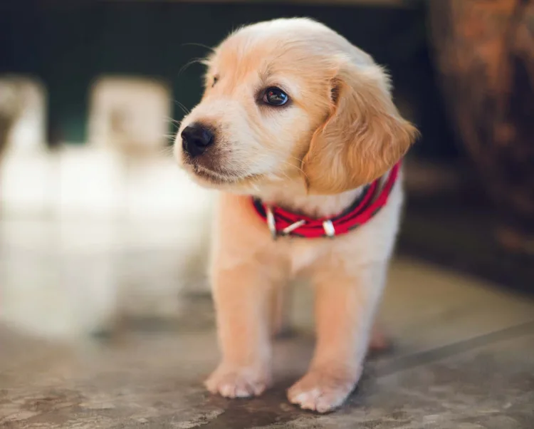 Luminar Neo GenExpand berkay gumustekin ngqyo2AYYnE unsplash 3