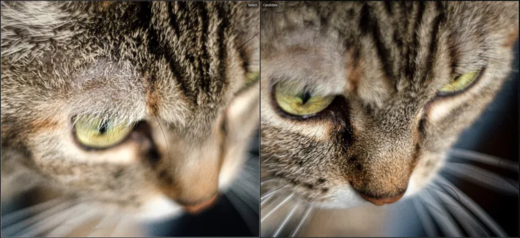 Sigma 56mm lens review 34 750px jpg