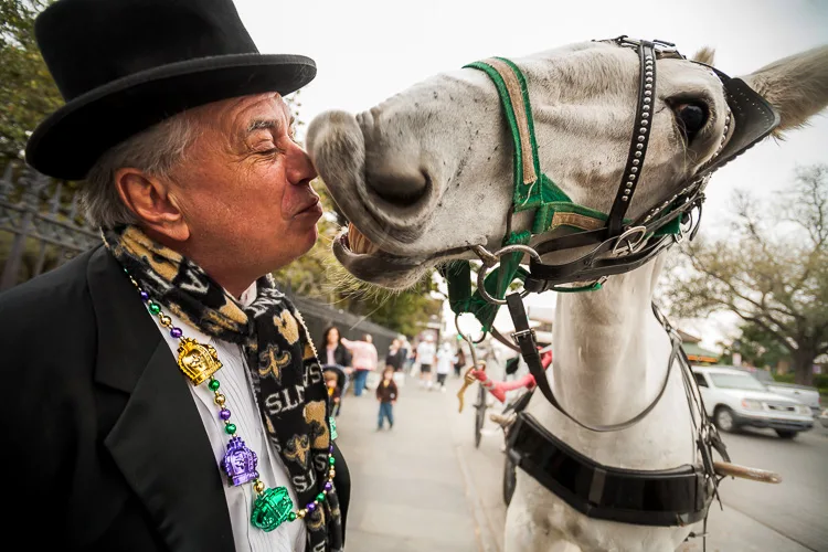A wide angle lens portrait photo of a mule driver and his mule in New Orleans creates a distinct street photography style
